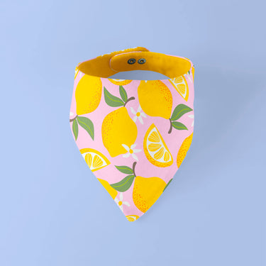 Bandana Fresh Zest